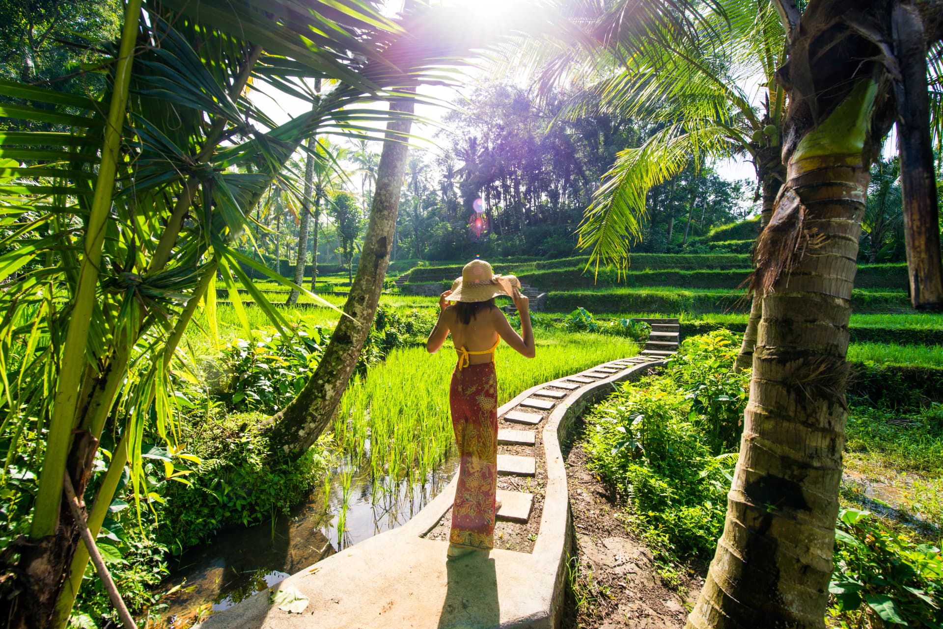 Sawah Terasering Ubud